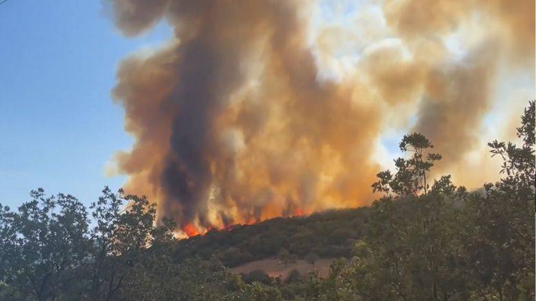 Φωτιά στην περιοχή Πάτερμα στη Ροδόπη