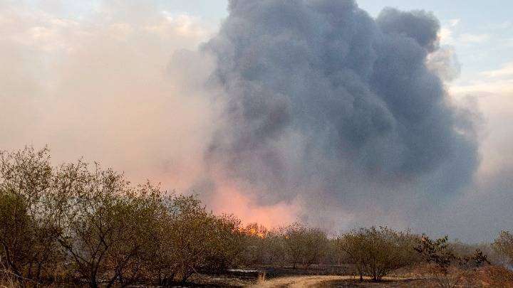 Σε εξέλιξη τα πύρινα μέτωπα σε Ροδόπη και Όλυμπο