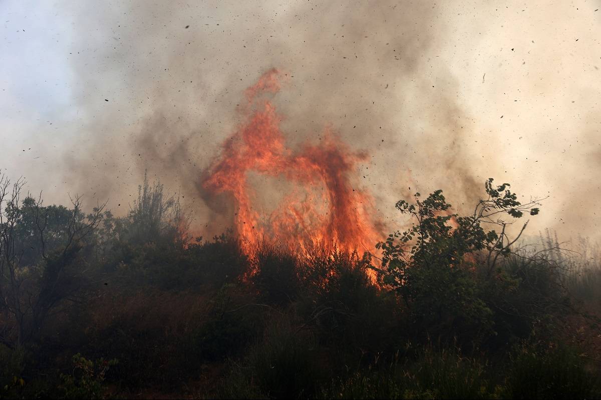 Φωτιά στον Ασπρόπυργο – Μεγάλη κινητοποίηση της Πυροσβεστικής