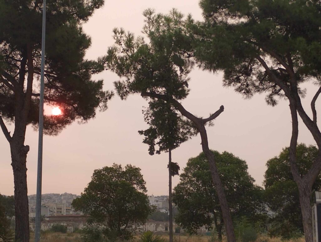 O καιρός σήμερα: Λίγες νεφώσεις και πολλή ζέστη