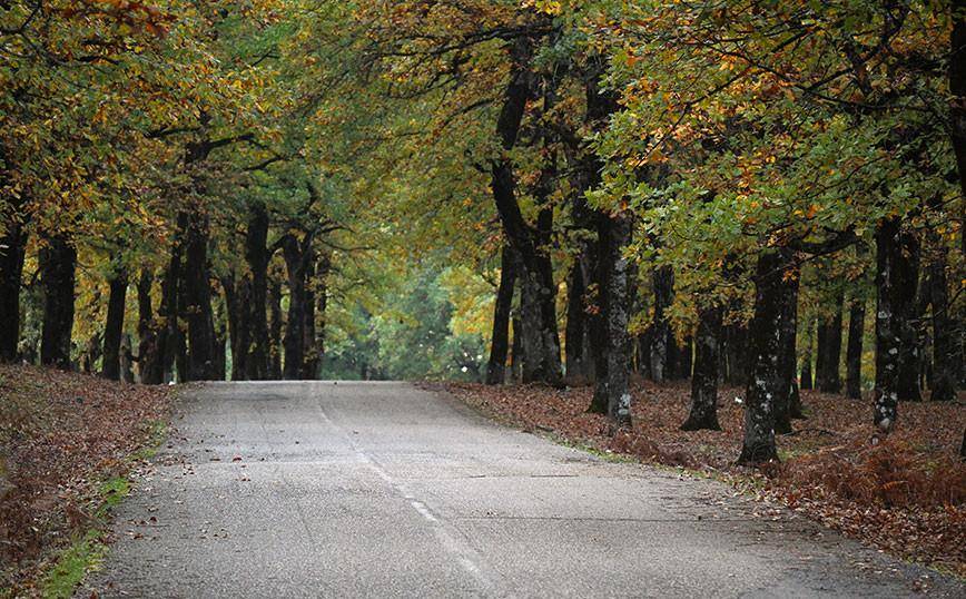 Απαγόρευση κυκλοφορίας σήμερα σε περιοχές της Χαλκιδικής λόγω του υψηλού κινδύνου πυρκαγιάς