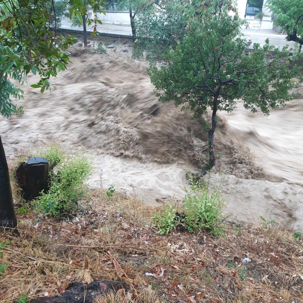 Εντοπίστηκε ζωντανός αγνοούμενος στην Πάλτση Μαγνησίας