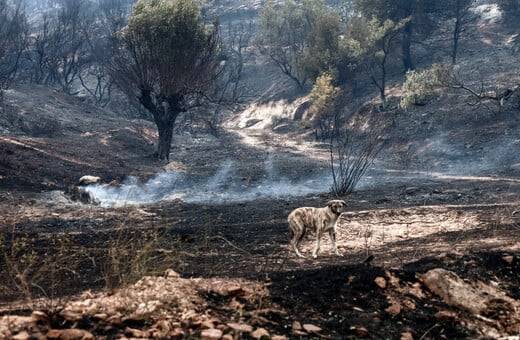 Πολύ δύσκολη νύχτα στο Σουφλί: 14η μέρα καταστροφής