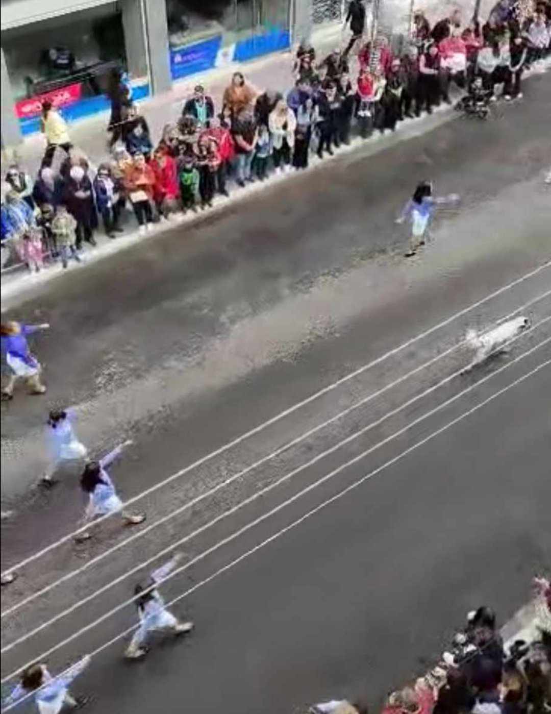 Κατερίνη: Σκύλος κάνει παρέλαση μαζί με μαθητές // ΒΙΝΤΕΟ