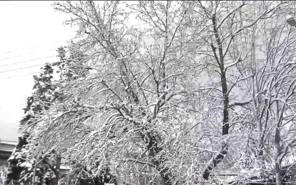 Που έπεσαν τα πρώτα χιόνια του φετινού χειμώνα