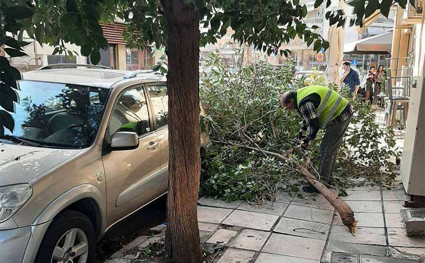 Θεσσαλονίκη: Θυελλώδεις άνεμοι έριξαν δέντρα, ακόμα και στο κέντρο της πόλης – Ενισχύονται από το μεσημέρι
