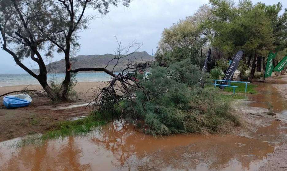 Πτώσεις δέντρων και πλημμυρισμένοι δρόμοι – 110 κλήσεις δέχθηκε χθες η Πυροσβεστική