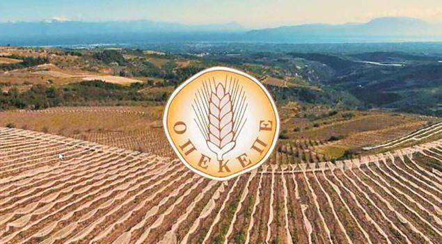 Επιδοτήσεις ΟΠΕΚΕΠΕ: Από σήμερα πληρώνονται οι δικαιούχοι