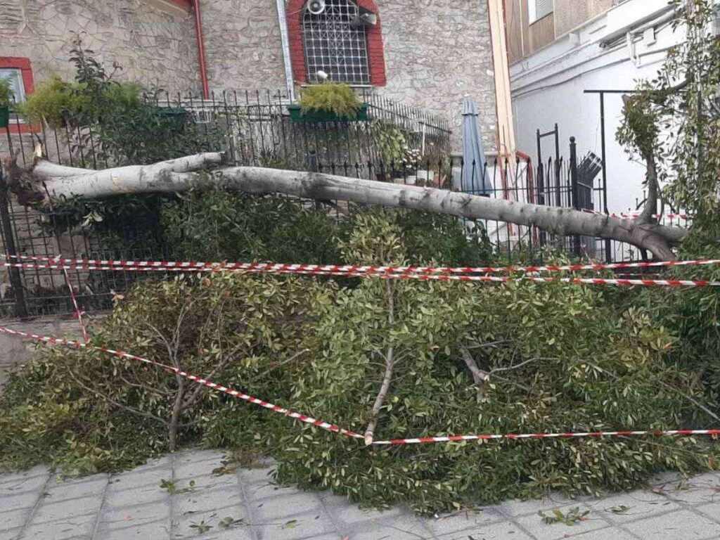 Θεσσαλονίκη: Ισχυροί άνεμοι ξερίζωσαν δέντρα – «Έκλεισαν» λωρίδες κυκλοφορίας