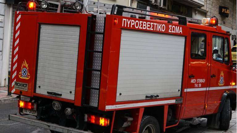 Φωτιά ξέσπασε σε τροχόσπιτο και ποιμνιοστάσιο με δεκάδες ζώα στην Καρδίτσα