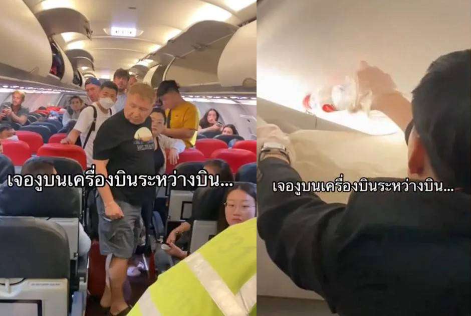 Φίδι έσπειρε τον πανικό σε πτήση στην Ταϊλάνδη- Αεροσυνοδός το απομάκρυνε από τις καμπίνες αποσκευών(βίντεο)