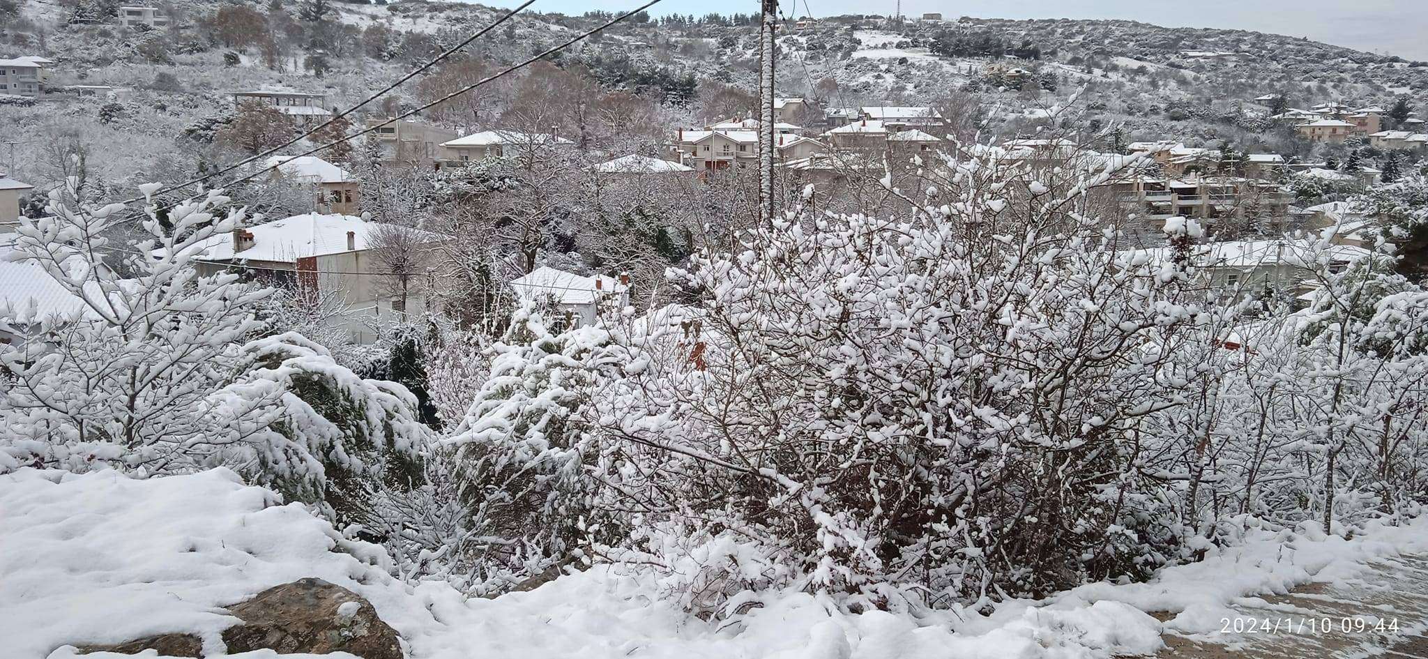 Στους -17 βαθμούς Κελσίου η Φλώρινα σήμερα - Η διαφορά μεταξύ Βορρά και Νότου φτάνει τους 30 βαθμούς Κελσίου