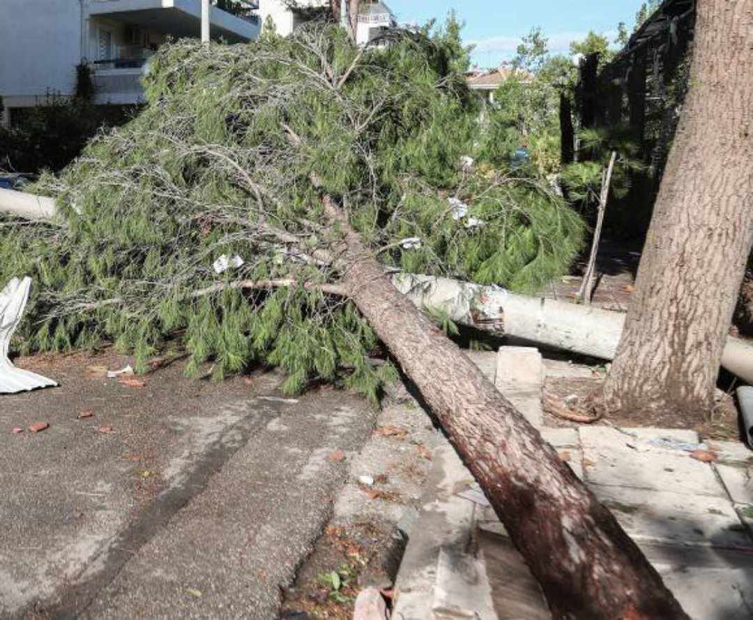 Θεσσαλονίκη: Έκλεισαν τα σχολεία στον Σοχό λόγω διακοπής ρεύματος και ισχυρών ανέμων