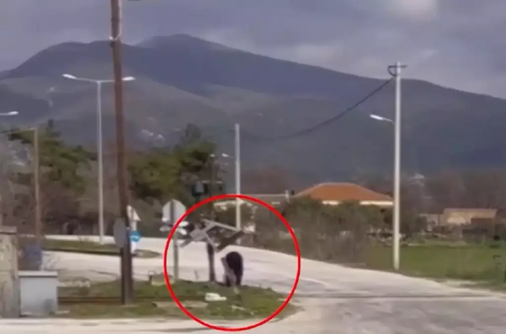 Ξάνθη: Σταμάτησε το τρένο ο οδηγός του για να ελέγξει αν περνάνε αυτοκίνητα
