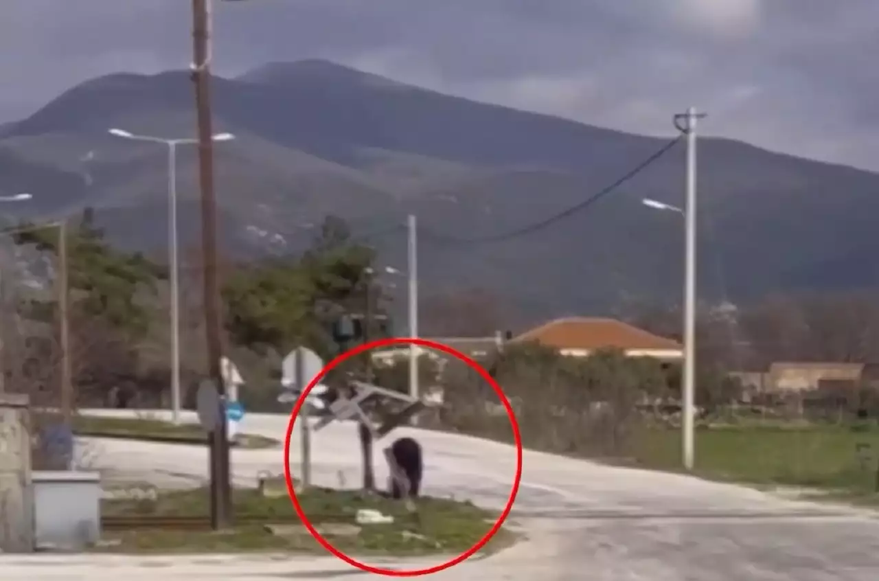 Ξάνθη: Σταμάτησε το τρένο ο οδηγός του για να ελέγξει αν περνάνε αυτοκίνητα