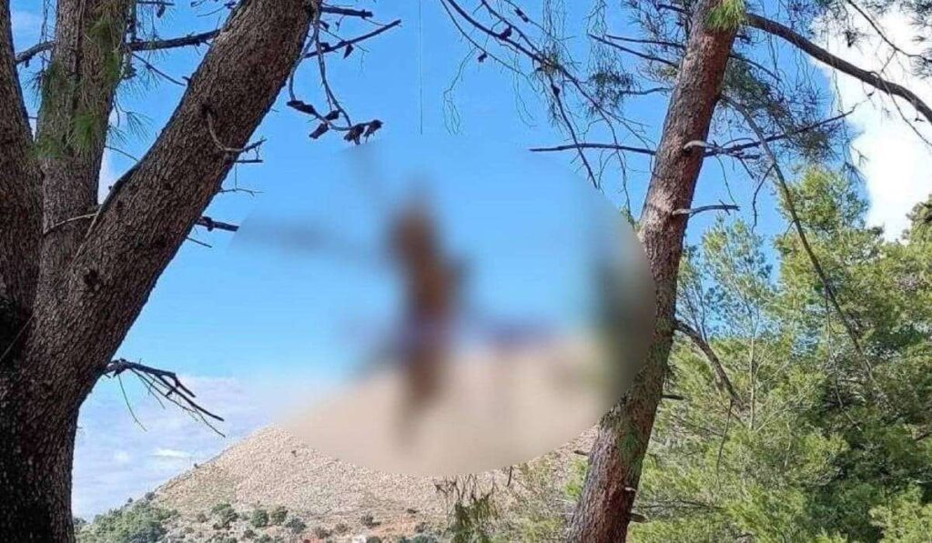 Κεφαλονιά: Απίστευτη κτηνωδία – Πυροβόλησαν, σταύρωσαν και κρέμασαν αλεπού σε δέντρο