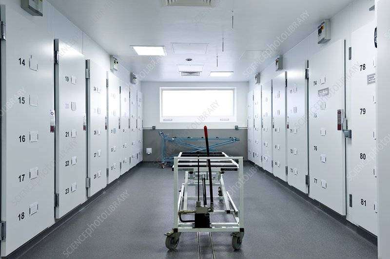 62χρονος εκπαιδευτικός στη Λαμία παρέμεινε στα αζήτητα του νοσοκομείου μετά το θάνατό του – Τον αναζήτησαν οι συνάδελφοί του