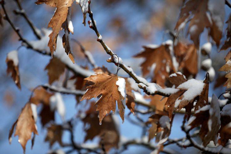 Έρχεται πολικό ψύχος από την Ουκρανία – Θα πέσουν χιόνια το Σαββατοκύριακο