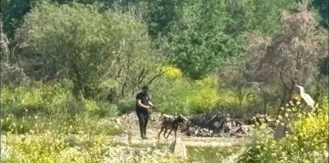 Τέμπη: Τρία εκπαιδευμένα σκυλιά σε αναζήτηση DNA στο οικόπεδο που μεταφέρθηκαν τα χώματα