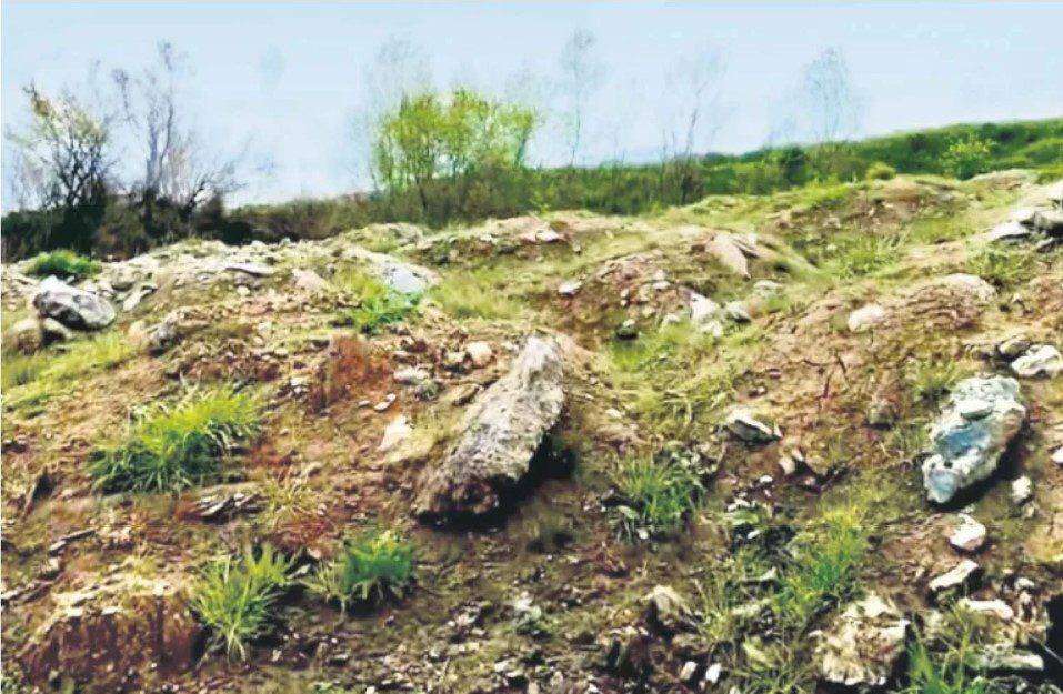 Ξεκίνησε η δειγματοληψία στο χώμα που είχε μεταφερθεί από τα Τέμπη σε ιδιωτικό οικόπεδο – Ένα χρόνο μετά