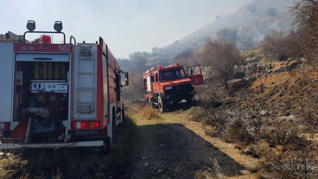 Αττική: Πυρκαγιά στο Μετόχι Μεγάρων