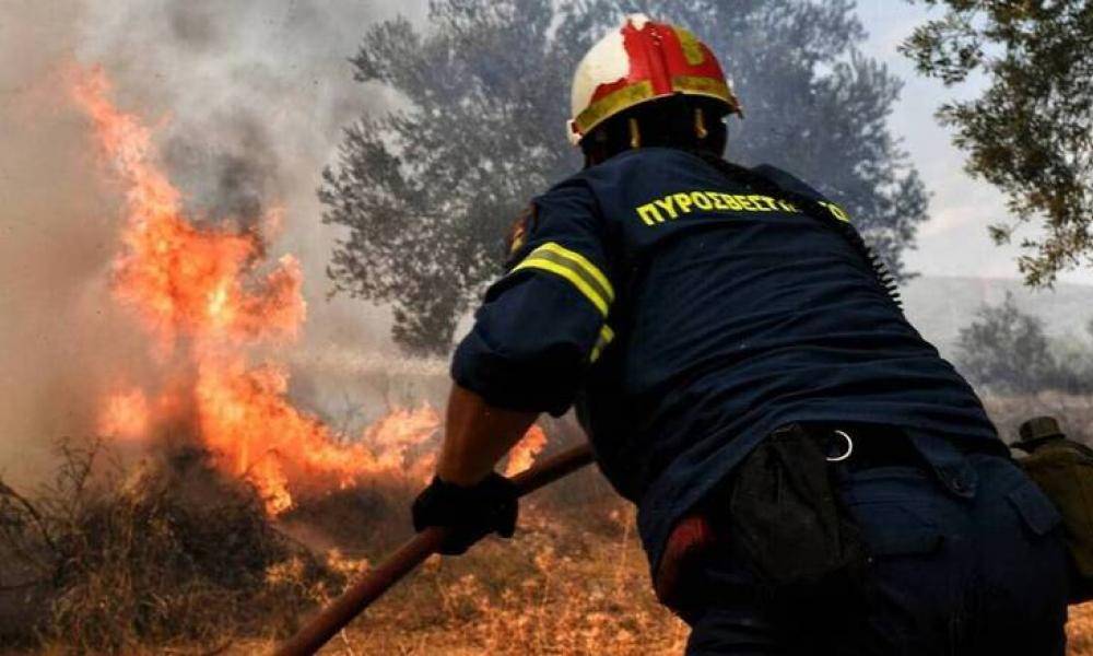 Πήλιο: Πυρκαγιά σε αγροτοδασική έκταση στο Μούρεσι
