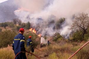 Ηλεία: Πυρκαγιά στο Βαρθολομιό