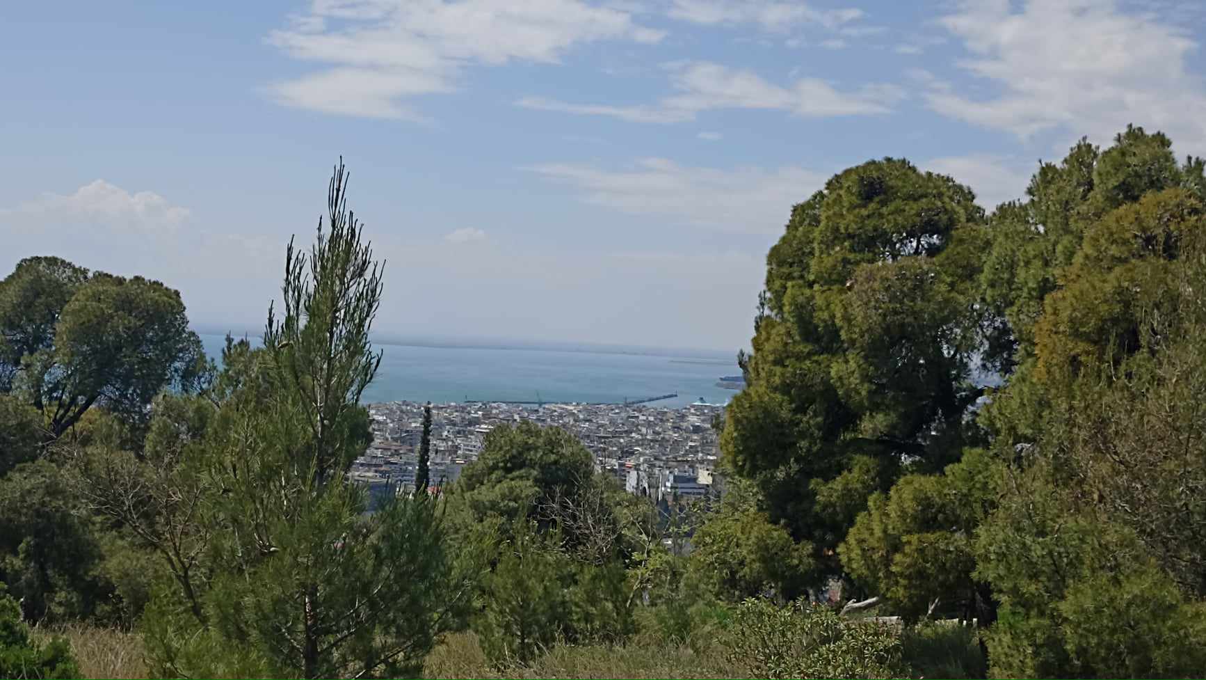 Θεσσαλονίκη: Συναγερμός για φωτιά στο Σέιχ Σου - Προσήχθη νεαρός για εμπρησμό