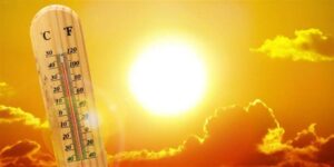 Τουλάχιστον 3.700 επιπλέον θάνατοι καταγράφηκαν στη διάρκεια του καύσωνα σε Γαλλία, Βέλγιο και Ολλανδία