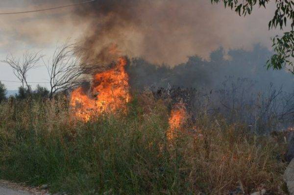 Πυρκαγιά σε δασική έκταση στη Βοιωτία