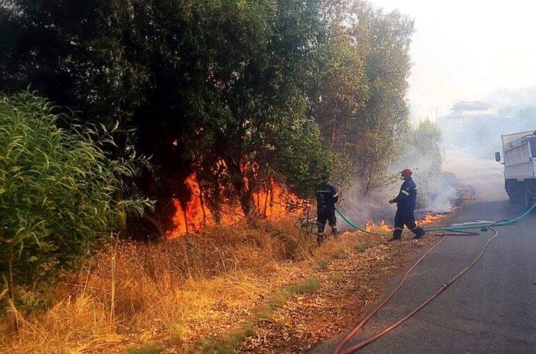 Νέα Απολλωνία: Σε εξέλιξη φωτιά στην Βόλβη