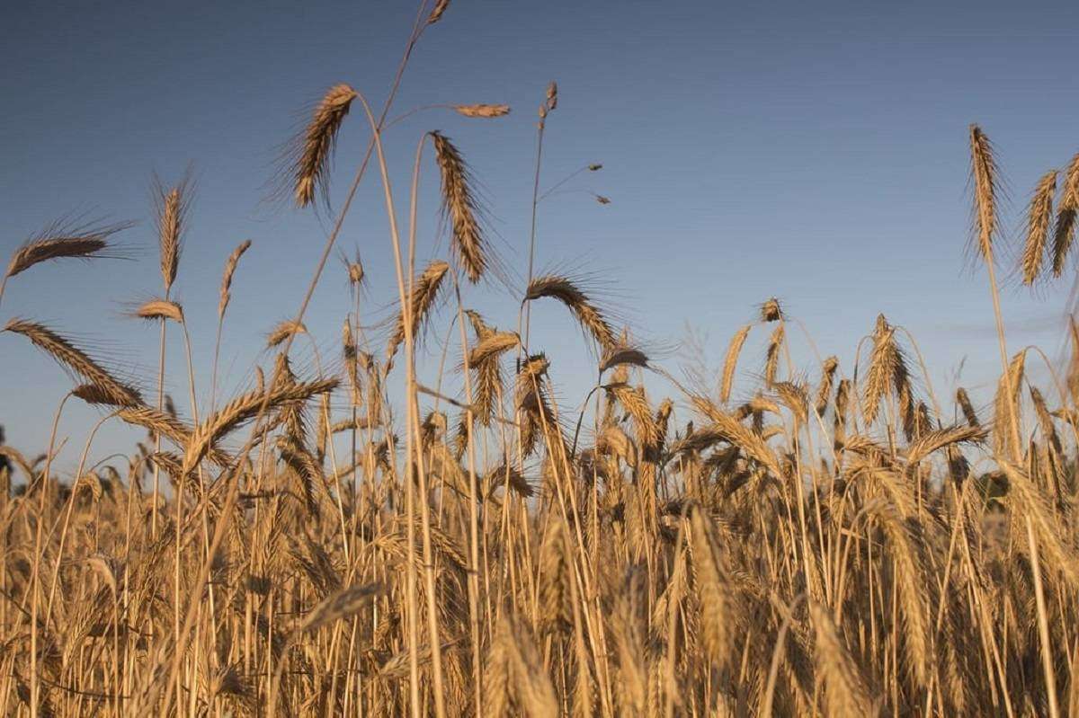 Καιρός: Στα ύψη η θερμοκρασία σήμερα – Πότε υποχωρεί ο καύσωνας