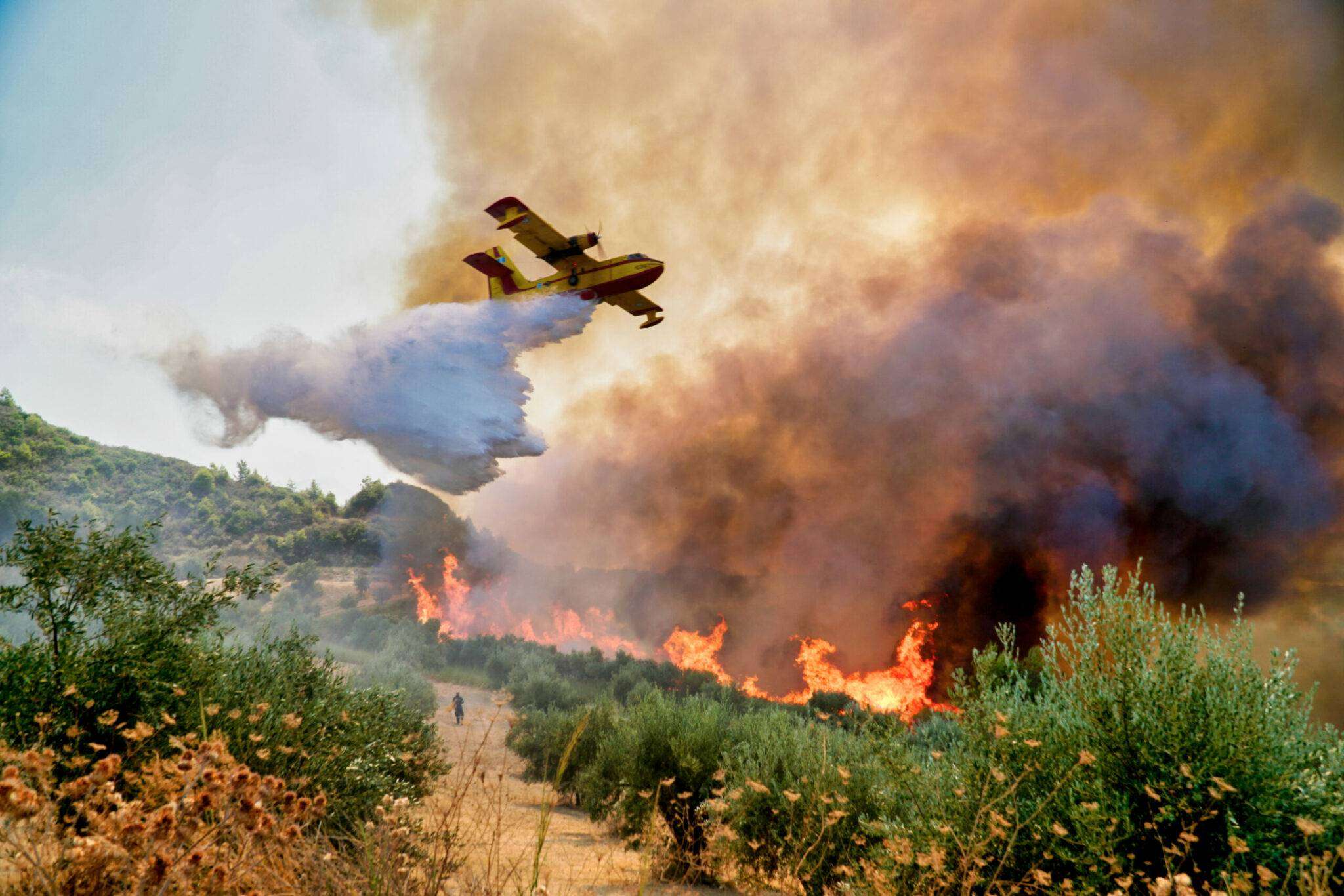 Φωτιά τώρα στη Ροδόπη – Ήχησε το 112