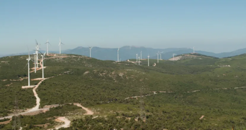 Δερβενοχώρια: Τους έκαψαν για να βάλουν ανεμογεννήτριες (Video)