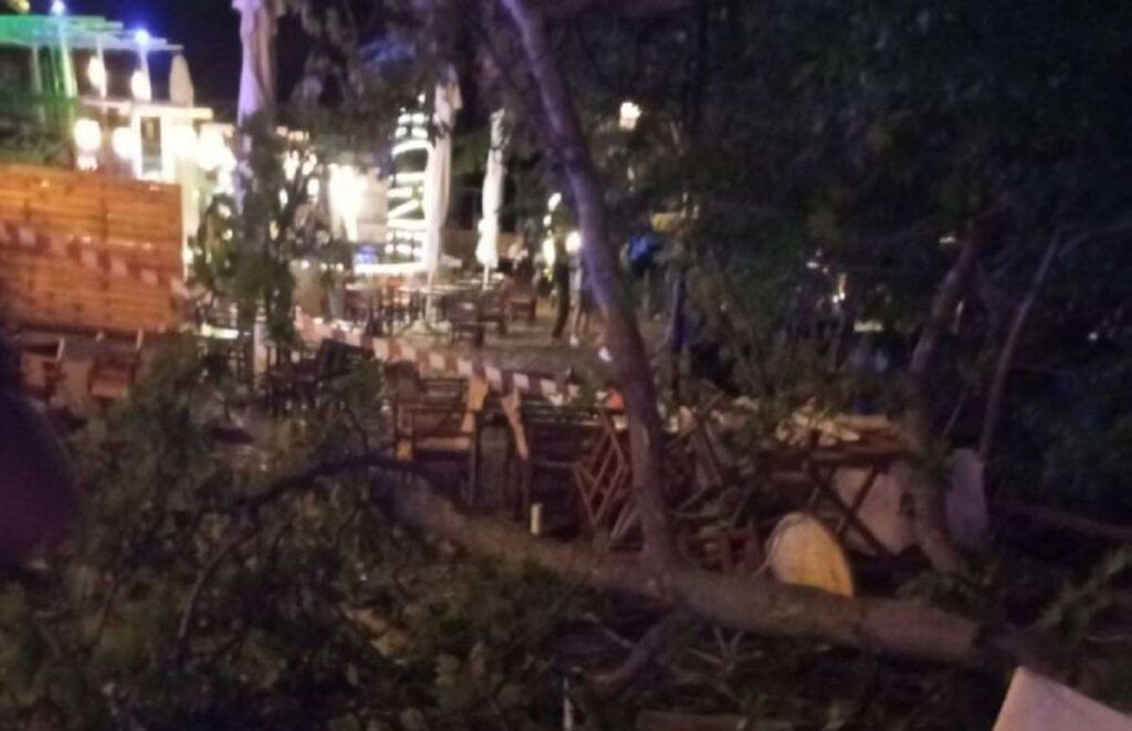 Πιερία: 44χρονη σκοτώθηκε από κλαδί πλατάνου