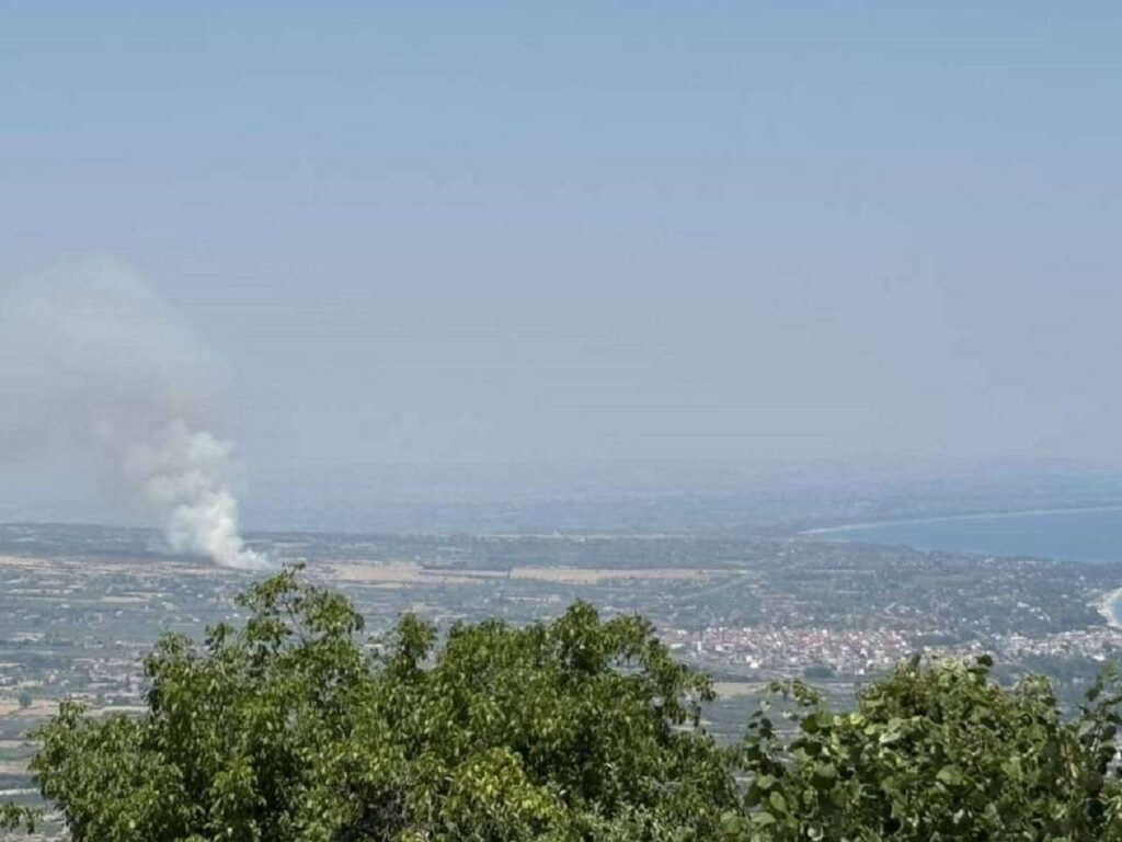 Φωτιά στην Πλάκα Λιτοχώρου (φωτο)