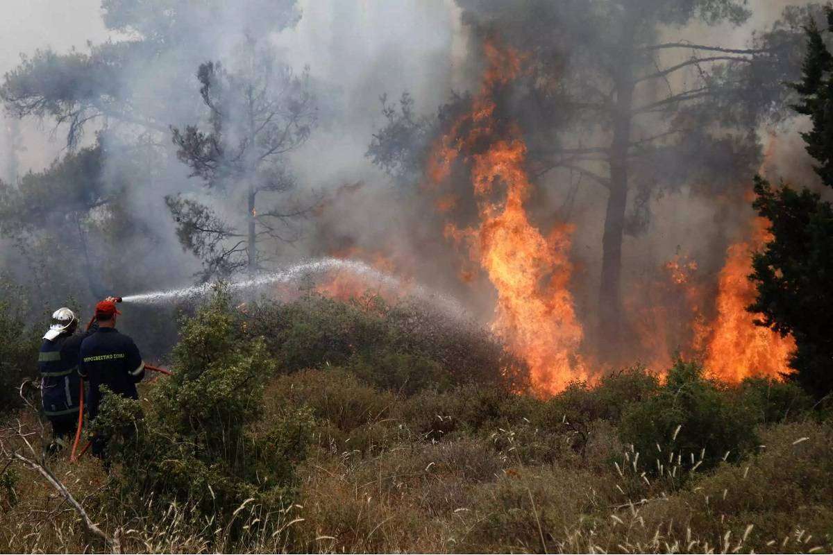 Πυρκαγιά στο Βροντερό Πρεσπών