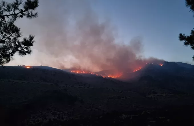 Μαίνονται οι πυρκαγιές σε Χίο, Κω, Ηράκλειο – Πάνω από 50 φωτιές το τελευταίο 24ωρο