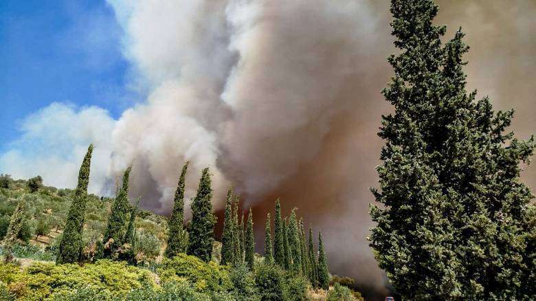 Εύβοια: Νεκρός ηλικιωμένος που έπαθε εγκεφαλικό όταν πλησίασαν οι φλόγες το σπίτι του