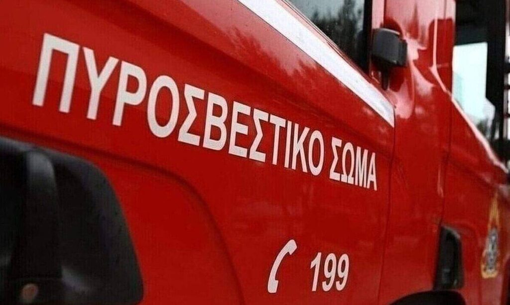 Χαλκιδική: Φωτιά σε χώρο απόθεσης απορριμμάτων στην περιοχή Χανιώτης