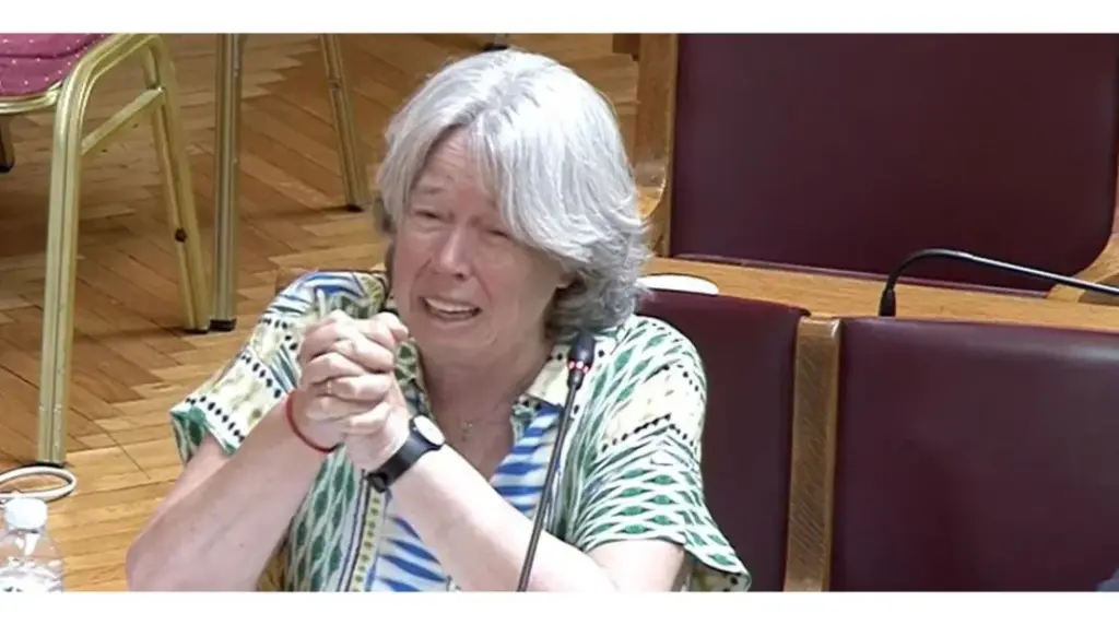 Πόσα εκατομμύρια αξίζουν οι «υπηρεσίες» της Αθηνάς Λινού στο «Σύστημα Μητσοτάκη»;