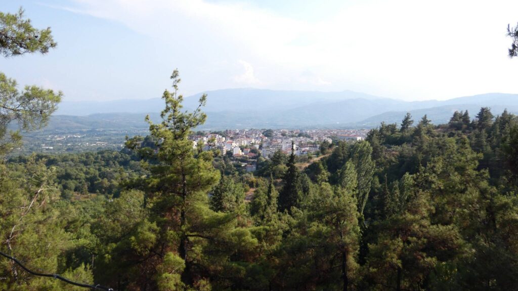 Απαγόρευση κυκλοφορίας πεζών και οχημάτων αύριο στο δάσος – πάρκο της Έδεσσας