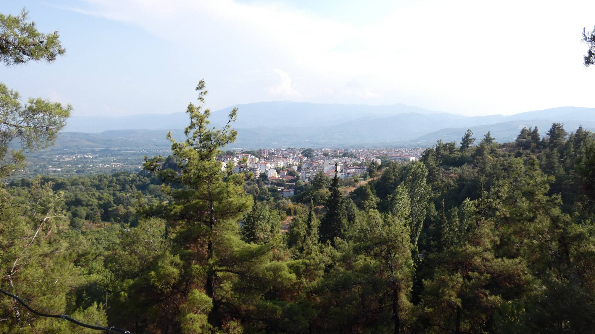 Απαγόρευση κυκλοφορίας πεζών και οχημάτων αύριο στο δάσος – πάρκο της Έδεσσας