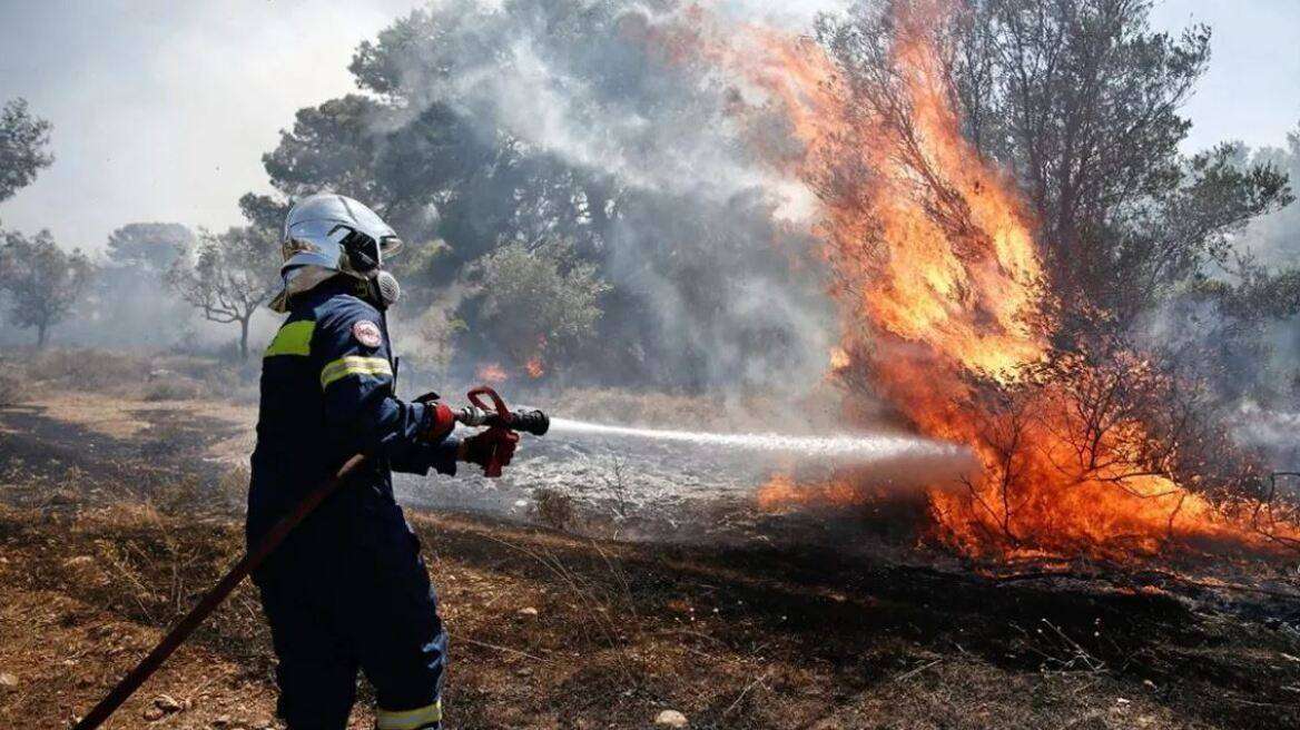 Πολύ υψηλός κίνδυνος πυρκαγιάς σε αρκετές περιοχές της χώρας για αύριο, Πέμπτη 15/8