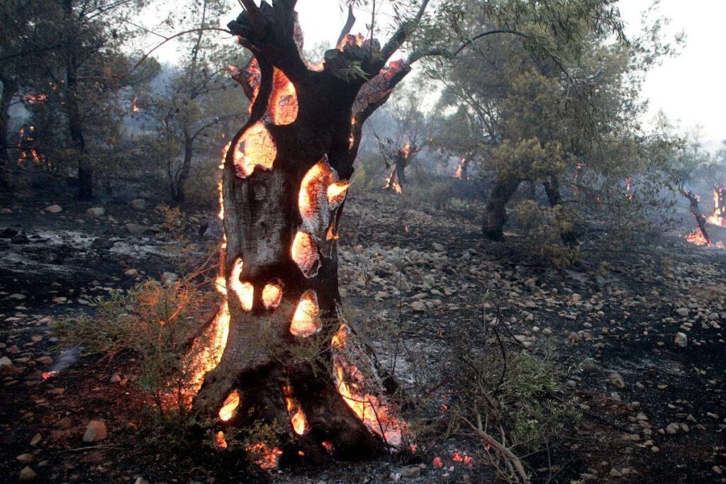 Μαίνεται η φωτιά στο Ρέθυμνο – Τιτάνια μάχη των Πυροσβεστών