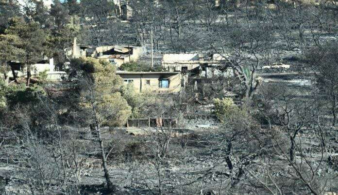«Πάγωσε» το πανελλήνιο με τον φρικτό θάνατο της 65χρονης