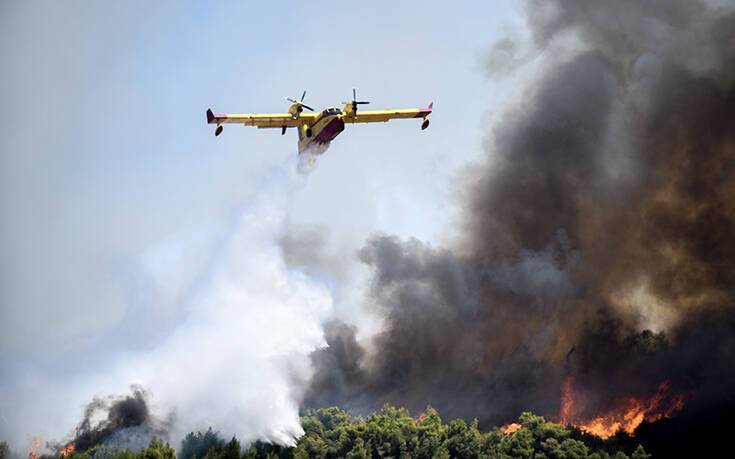 Υψηλός κίνδυνος πυρκαγιάς αύριο στη Χαλκιδική