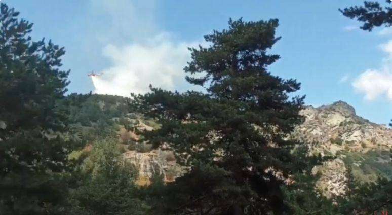 Σέρρες: Φωτιά στον Λαϊλιά – Επιχειρούν δύο ελικόπτερα