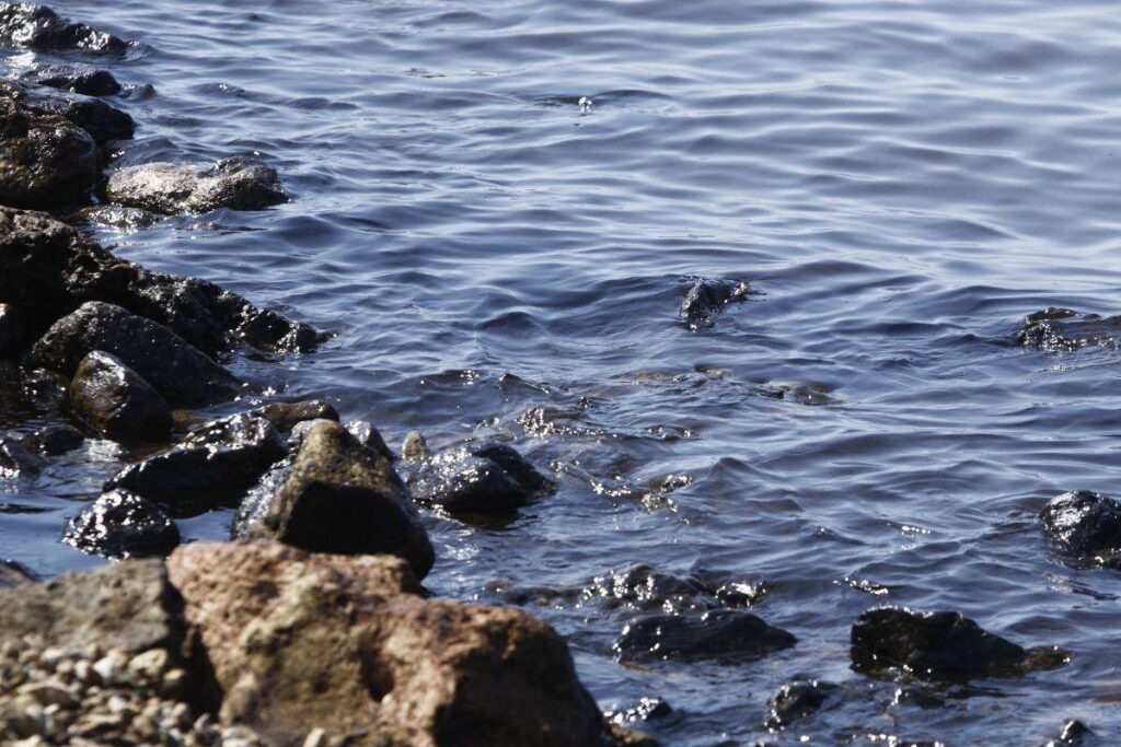 Σαλαμίνα: «Oι γονείς της θα την έβρισκαν βιασμένη ή πνιγμένη, άργησε να έρθει η ΕΛΑΣ» λέει ο 35χρονος που έσωσε την 20χρονη από βιασμό