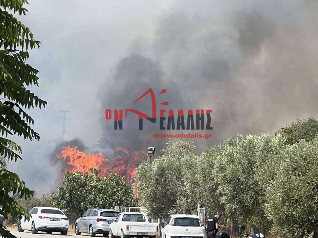 Φωτιά στην Πιερία: Εκκενώνεται η Πλάκα Λιτοχώρου – Εστάλη μήνυμα από το 112